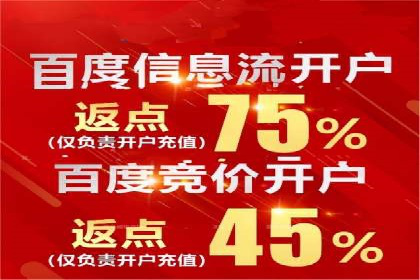 百度竞价排名案例分享：广告投放的技巧与误区